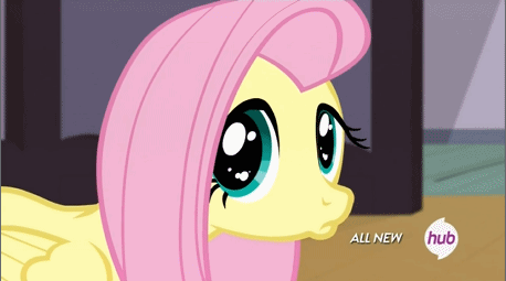 951147__safe_solo_fluttershy_animated_sc