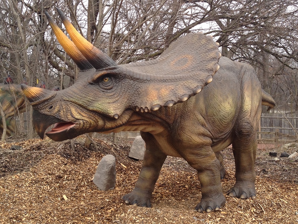FULLSIZE-dinosaur_Triceratops_i2.jpg