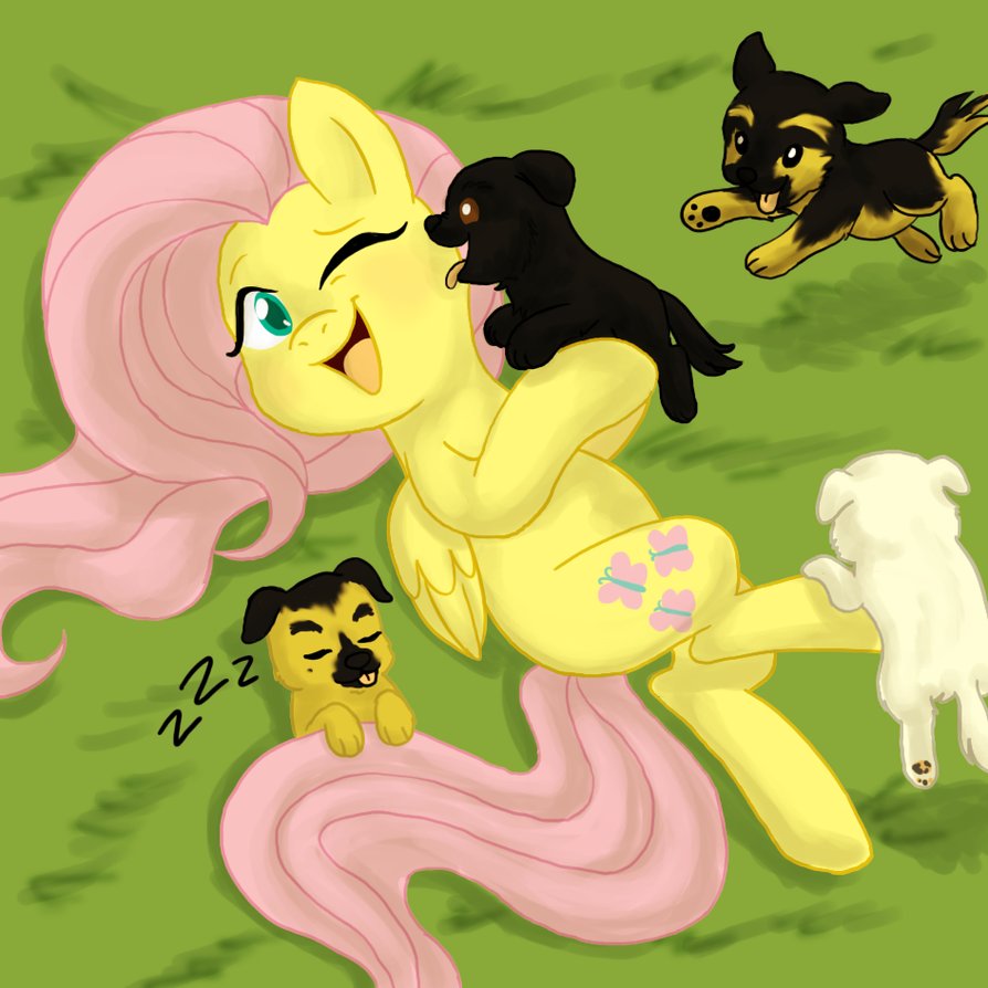 cute_fluttershy_playing_with_puppies_by_