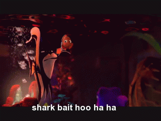 shark-bait-hoo-ha-ha-o.gif