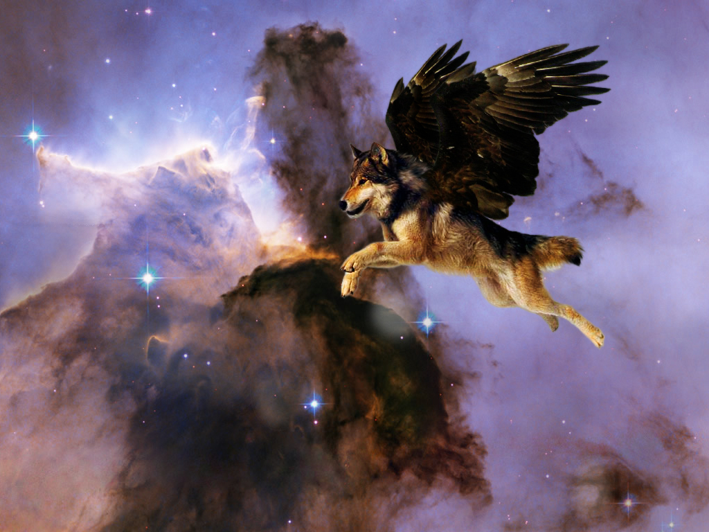 wolf_flying_trough_nebula_by_lintufriikk