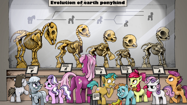 Evolution-of-earth-ponykind-my-little-po