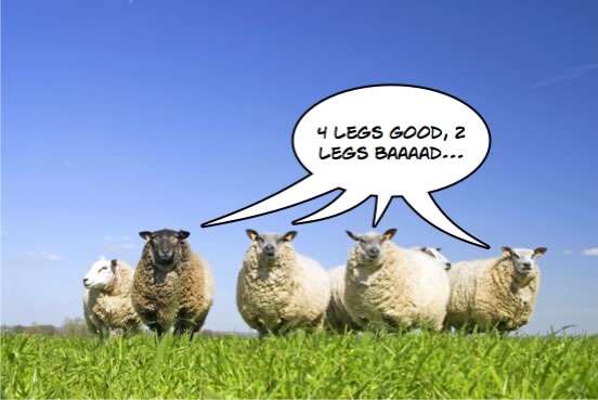 sheep-orwell.jpg