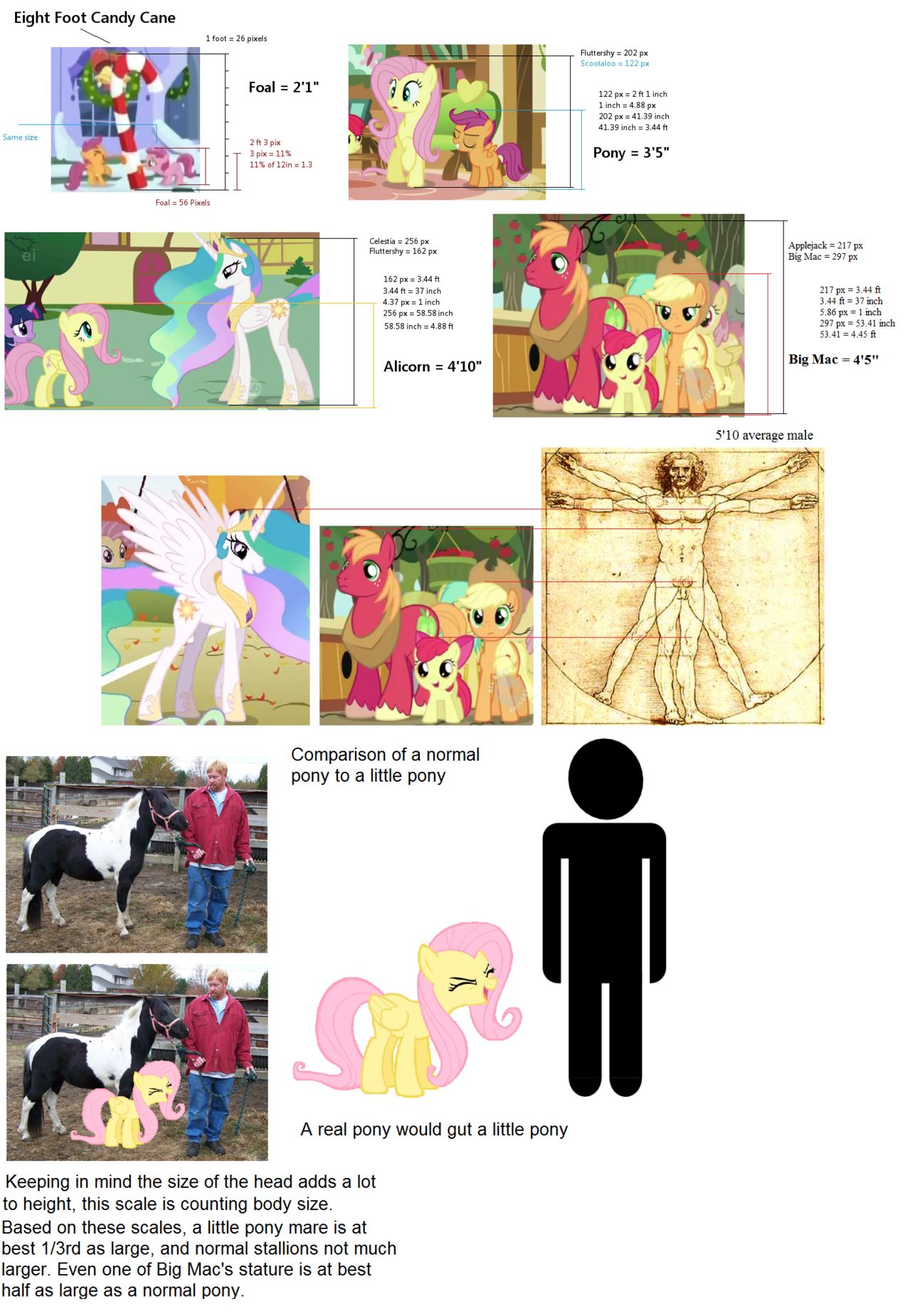 How_big_ponies_are.png