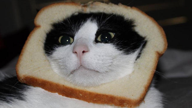 can-in-bread.jpg