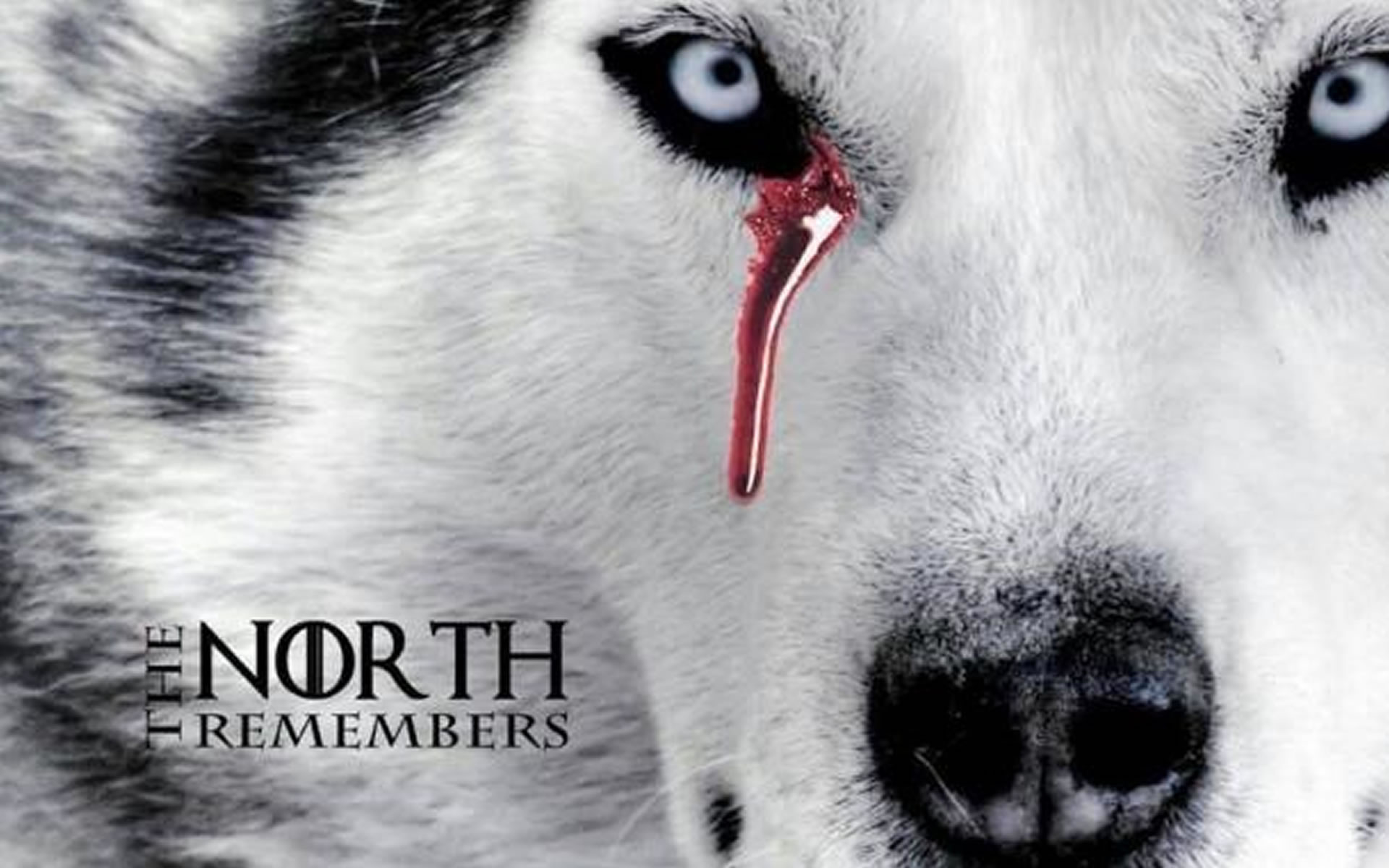 game_of_thrones_wallpaper_the_north_reme