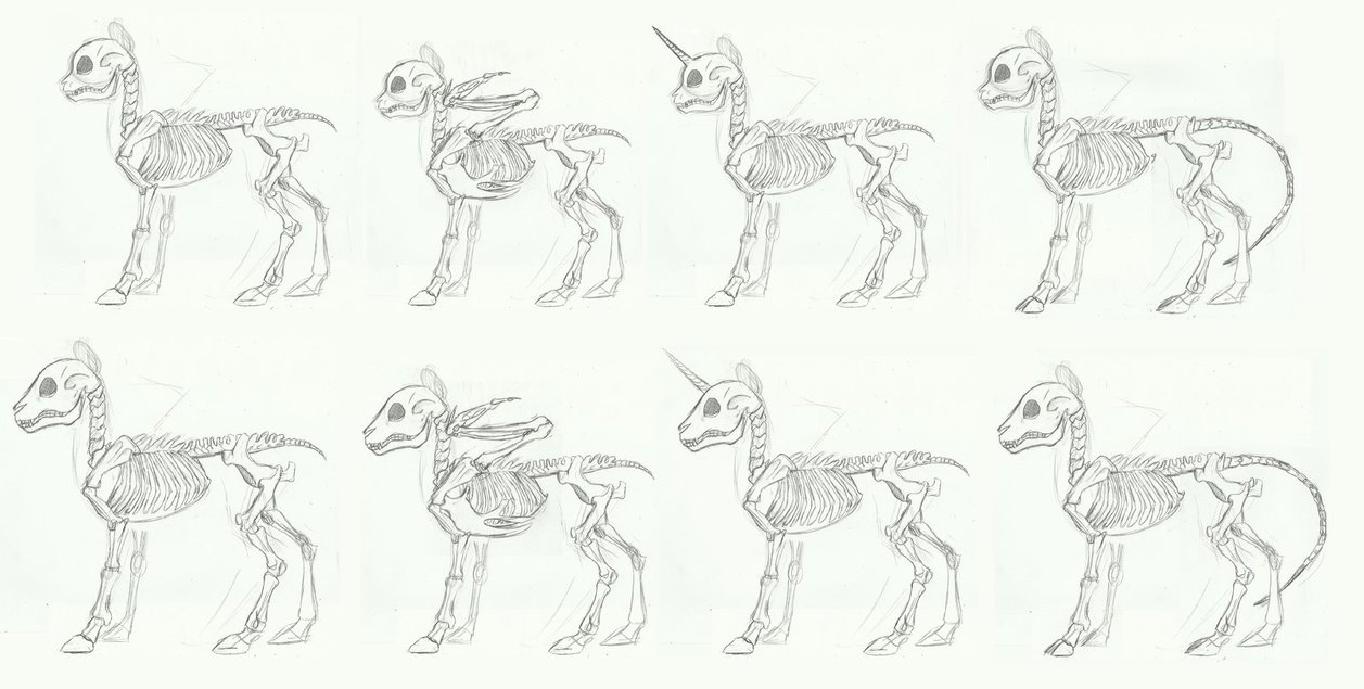 mlp__skeleton_anatomy_doodle_by_earthson