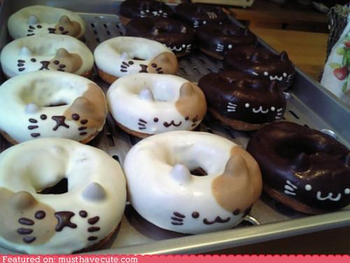 cute-cat-stuff-epicute-donut-kitties.jpg