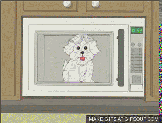 never-put-a-dog-on-a-microwave-o.gif