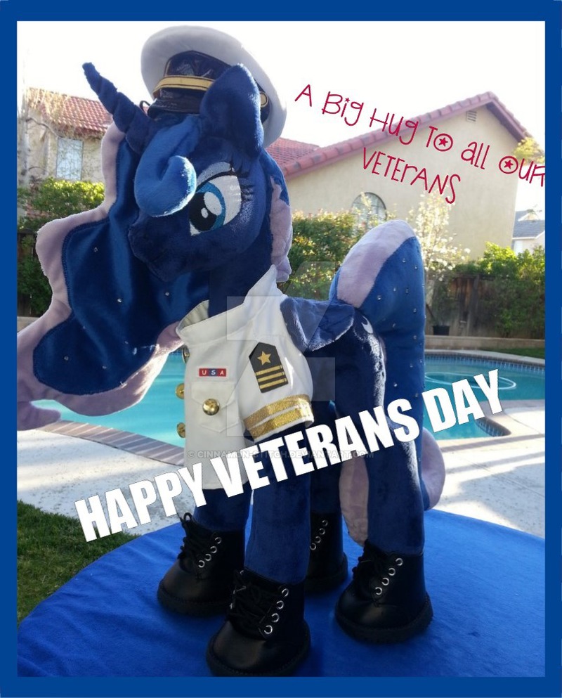 my_little_pony_happy_veterans_day_by_cin