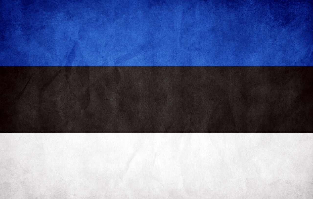 estonia_grunge_flag_by_think0.jpg