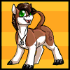 Duster Dawnhorse