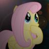 Its Flutters